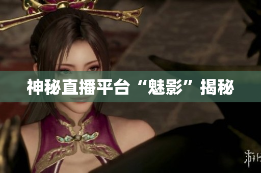 神秘直播平台“魅影”揭秘