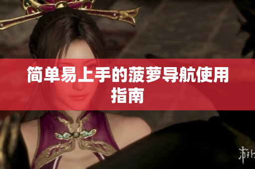 简单易上手的菠萝导航使用指南
