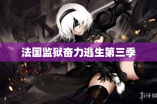 法国监狱奋力逃生第三季