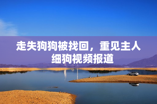 走失狗狗被找回，重见主人   细狗视频报道