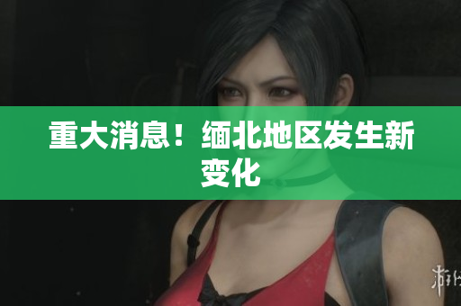 重大消息！缅北地区发生新变化