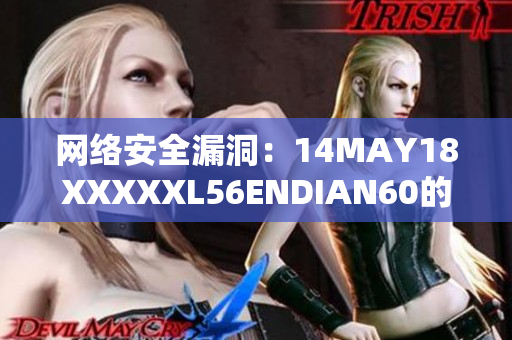 网络安全漏洞：14MAY18XXXXXL56ENDIAN60的警示