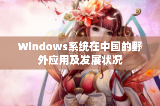 Windows系统在中国的野外应用及发展状况
