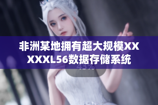 非洲某地拥有超大规模XXXXXL56数据存储系统