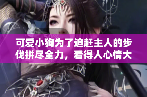 可爱小狗为了追赶主人的步伐拼尽全力，看得人心情大好