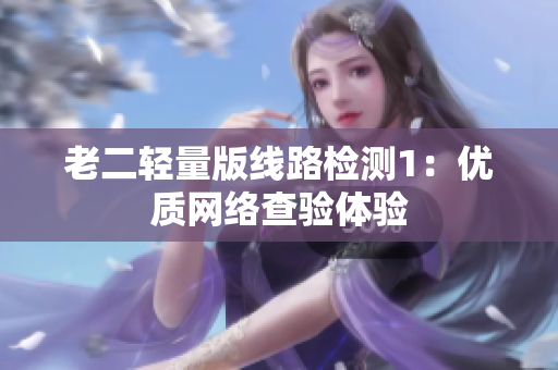 老二轻量版线路检测1：优质网络查验体验