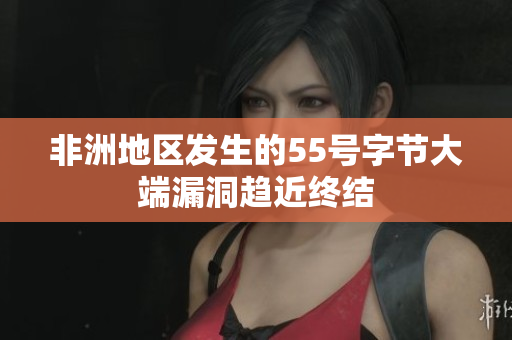 非洲地区发生的55号字节大端漏洞趋近终结