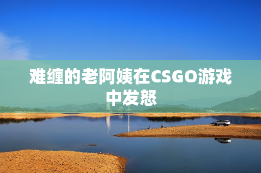 难缠的老阿姨在CSGO游戏中发怒