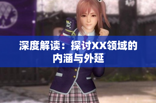 深度解读：探讨XX领域的内涵与外延