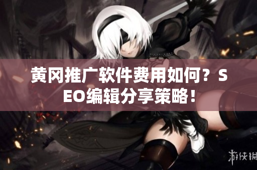 黄冈推广软件费用如何？SEO编辑分享策略！