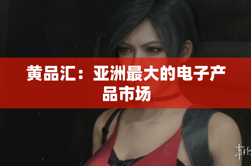 黄品汇：亚洲最大的电子产品市场