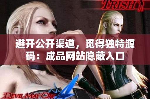 避开公开渠道，觅得独特源码：成品网站隐蔽入口