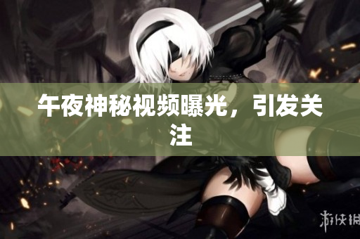 午夜神秘视频曝光，引发关注
