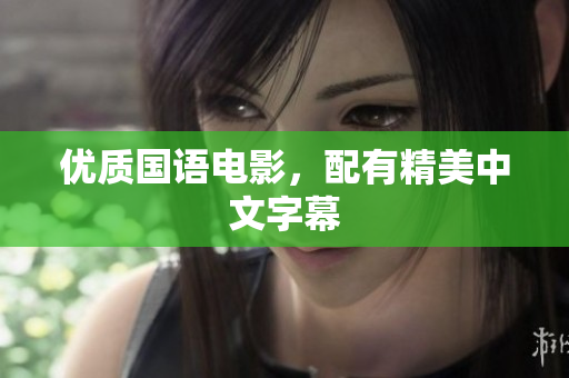优质国语电影，配有精美中文字幕
