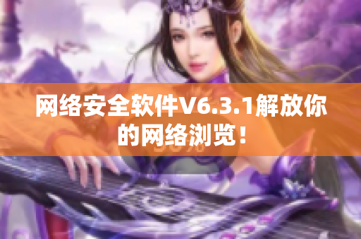 网络安全软件V6.3.1解放你的网络浏览！