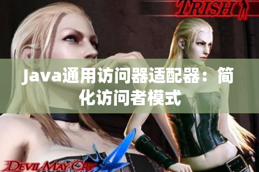 Java通用访问器适配器：简化访问者模式