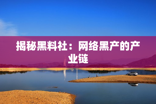 揭秘黑料社：网络黑产的产业链