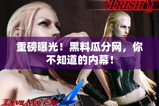 重磅曝光！黑料瓜分网，你不知道的内幕！