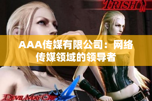 AAA传媒有限公司：网络传媒领域的领导者