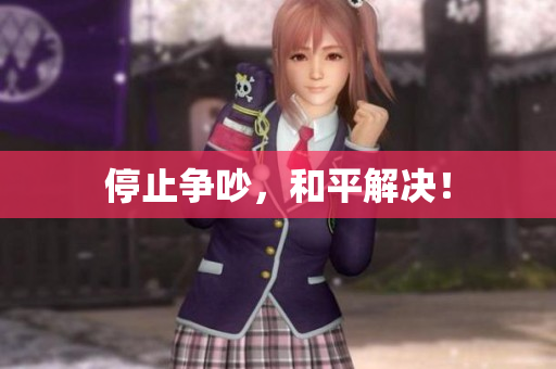 停止争吵，和平解决！
