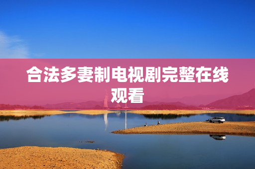 合法多妻制电视剧完整在线观看