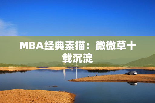 MBA经典素描：微微草十载沉淀