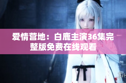 爱情营地：白鹿主演36集完整版免费在线观看