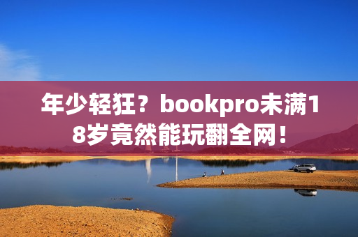 年少轻狂？bookpro未满18岁竟然能玩翻全网！