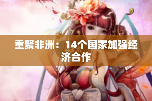 重聚非洲：14个国家加强经济合作
