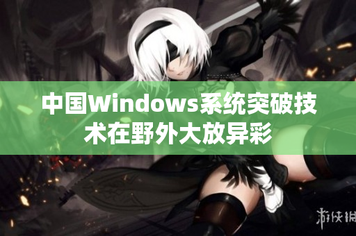 中国Windows系统突破技术在野外大放异彩