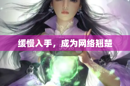 缓慢入手，成为网络翘楚