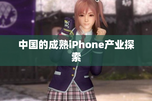 中国的成熟iPhone产业探索