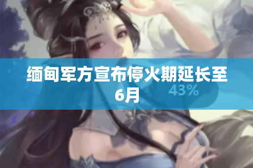 缅甸军方宣布停火期延长至6月