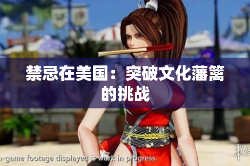 禁忌在美国：突破文化藩篱的挑战