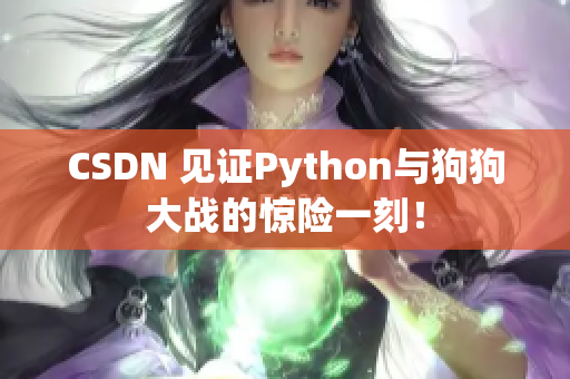 CSDN 见证Python与狗狗大战的惊险一刻！