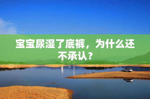 宝宝尿湿了底裤，为什么还不承认？