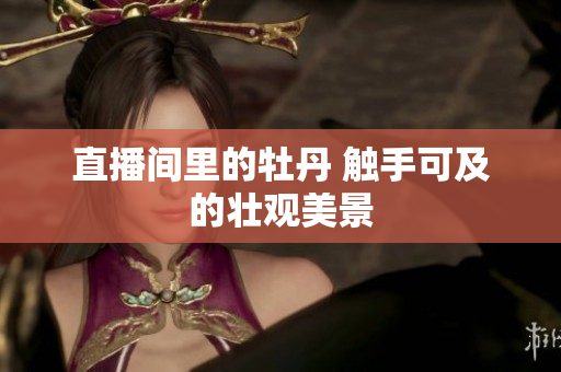 直播间里的牡丹 触手可及的壮观美景