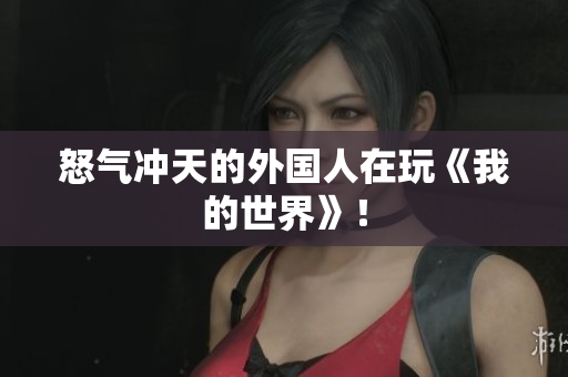 怒气冲天的外国人在玩《我的世界》！