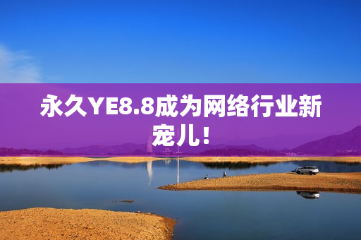 永久YE8.8成为网络行业新宠儿！