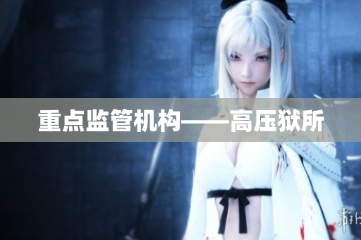 重点监管机构——高压狱所
