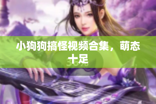小狗狗搞怪视频合集，萌态十足