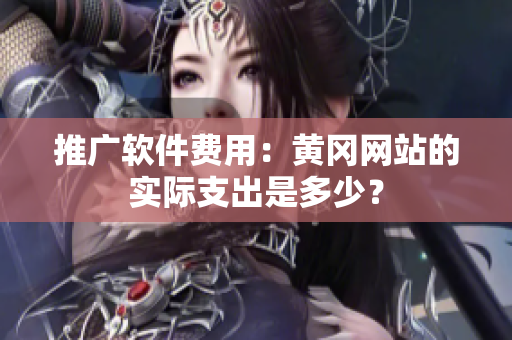 推广软件费用：黄冈网站的实际支出是多少？