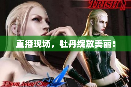 直播现场，牡丹绽放美丽！