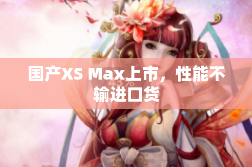 国产XS Max上市，性能不输进口货