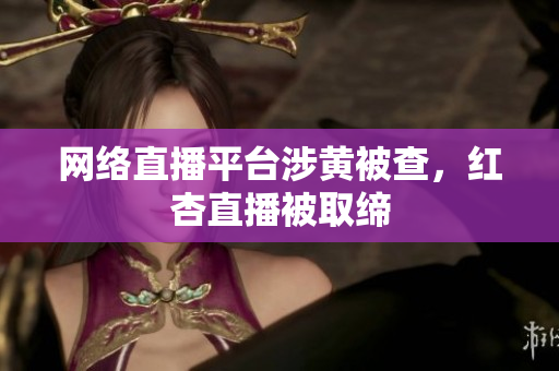 网络直播平台涉黄被查，红杏直播被取缔