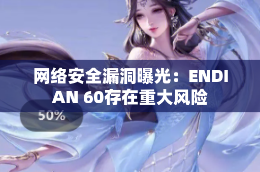 网络安全漏洞曝光：ENDIAN 60存在重大风险