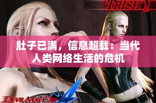 肚子已满，信息超载：当代人类网络生活的危机