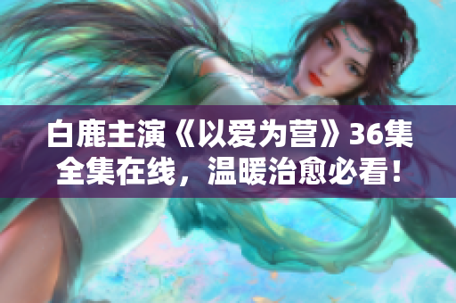 白鹿主演《以爱为营》36集全集在线，温暖治愈必看！