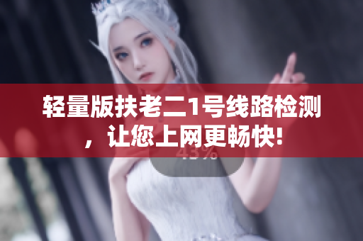 轻量版扶老二1号线路检测，让您上网更畅快!