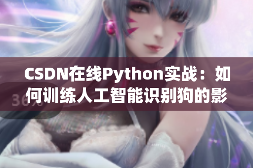 CSDN在线Python实战：如何训练人工智能识别狗的影像